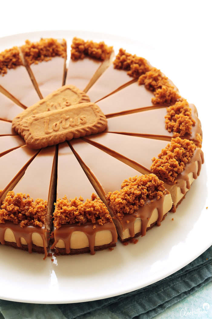 Cheesecake Lotus